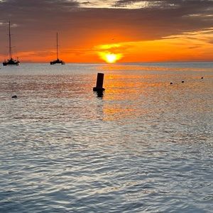 Meet your Posher, Besa